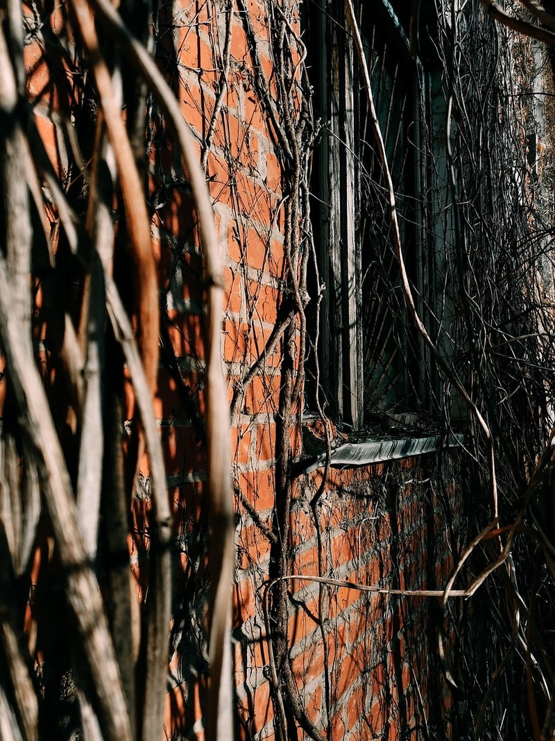 Abandoned Building